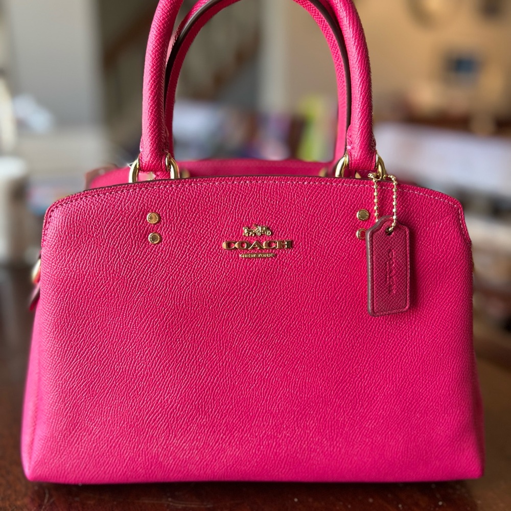 Coach NWT Lillie Carryall Handbag